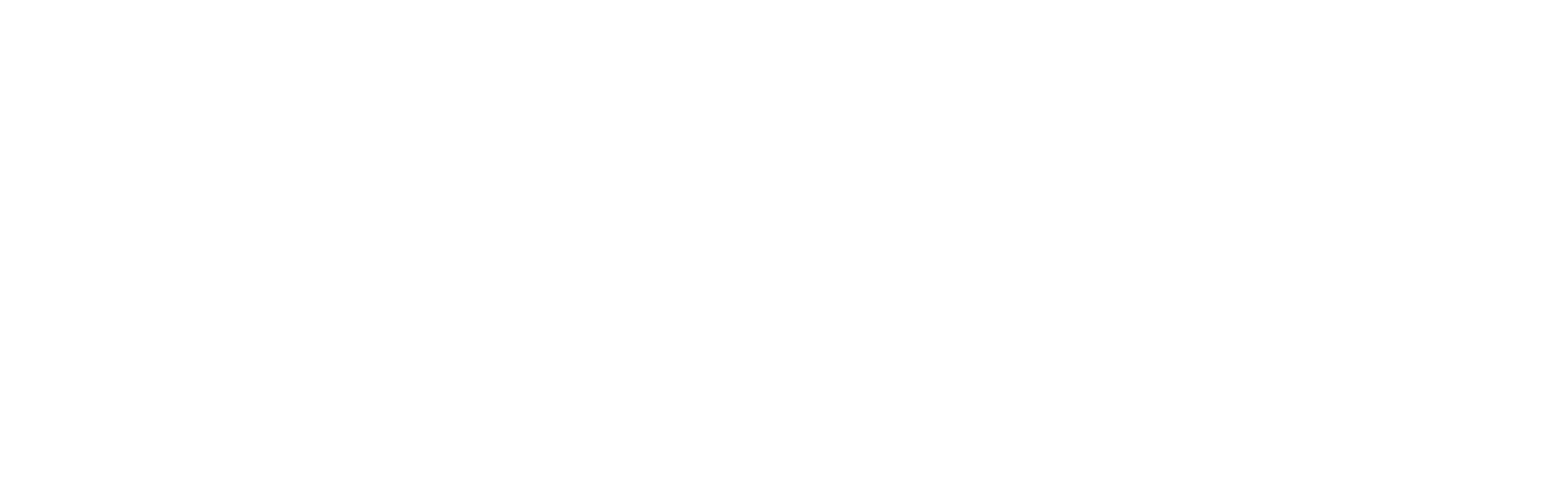 bliss cleaning services logo